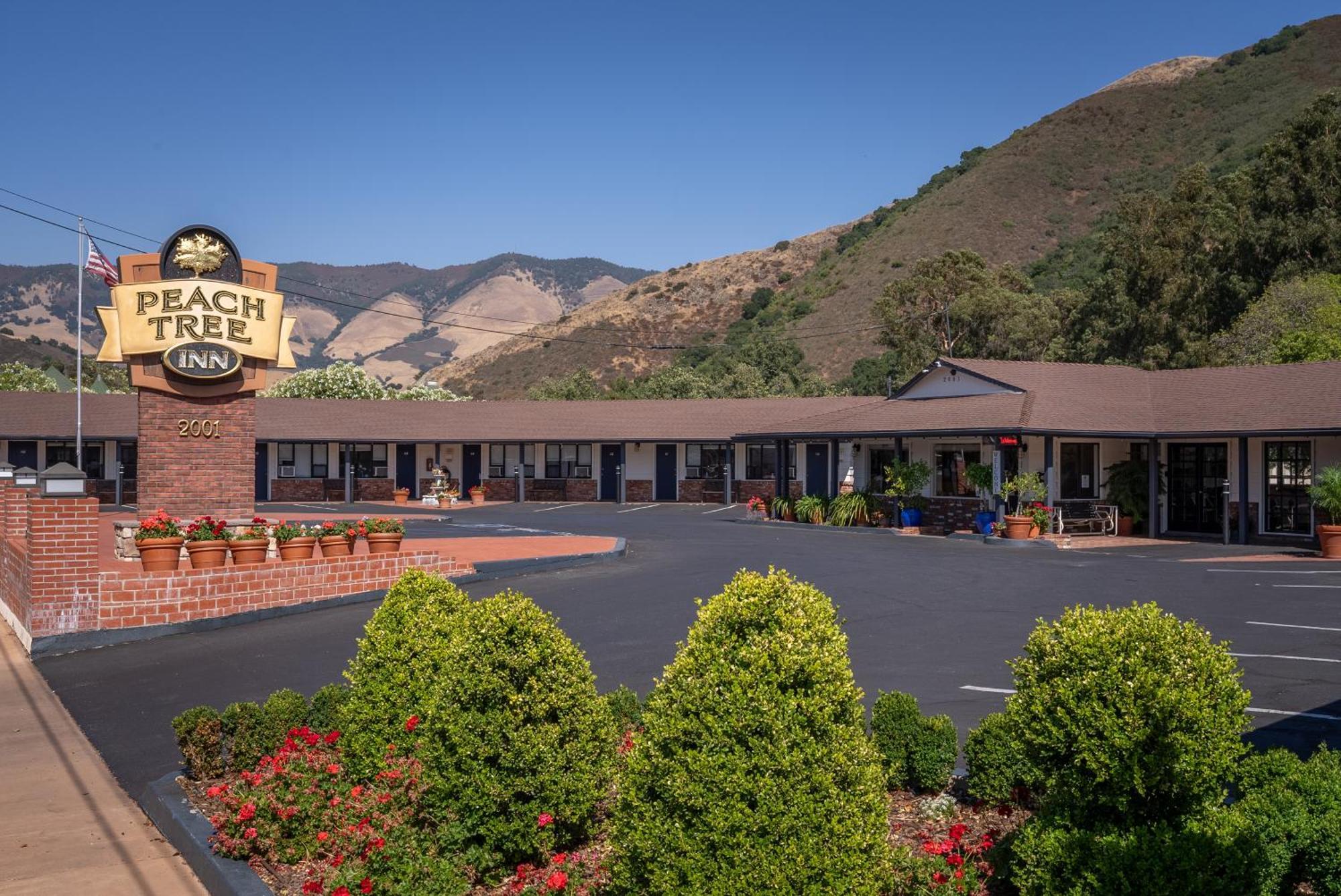 Peach Tree 2* San Luis Obispo