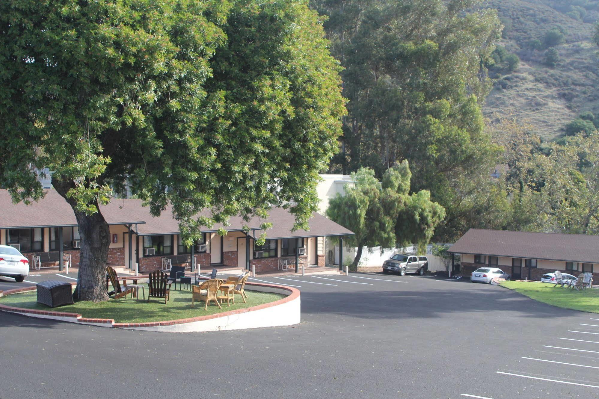 Peach Tree San Luis Obispo